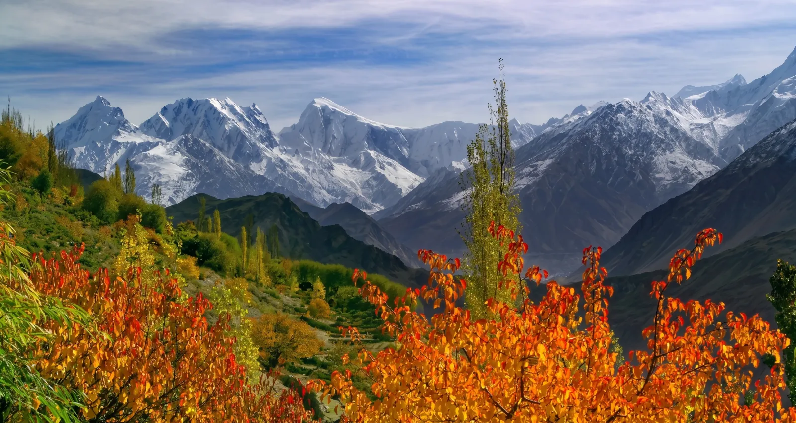 Golden Foliage in Hunza